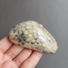 20240412_123117 Fossilized Coral Slab C1035