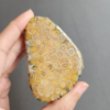 20240412_123125 Fossilized Coral Slab C1035