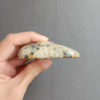 20240412_123147 Fossilized Coral Slab C1035