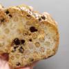 Fossilized Coral Slab C1211