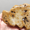 Fossilized Coral Slab C1211