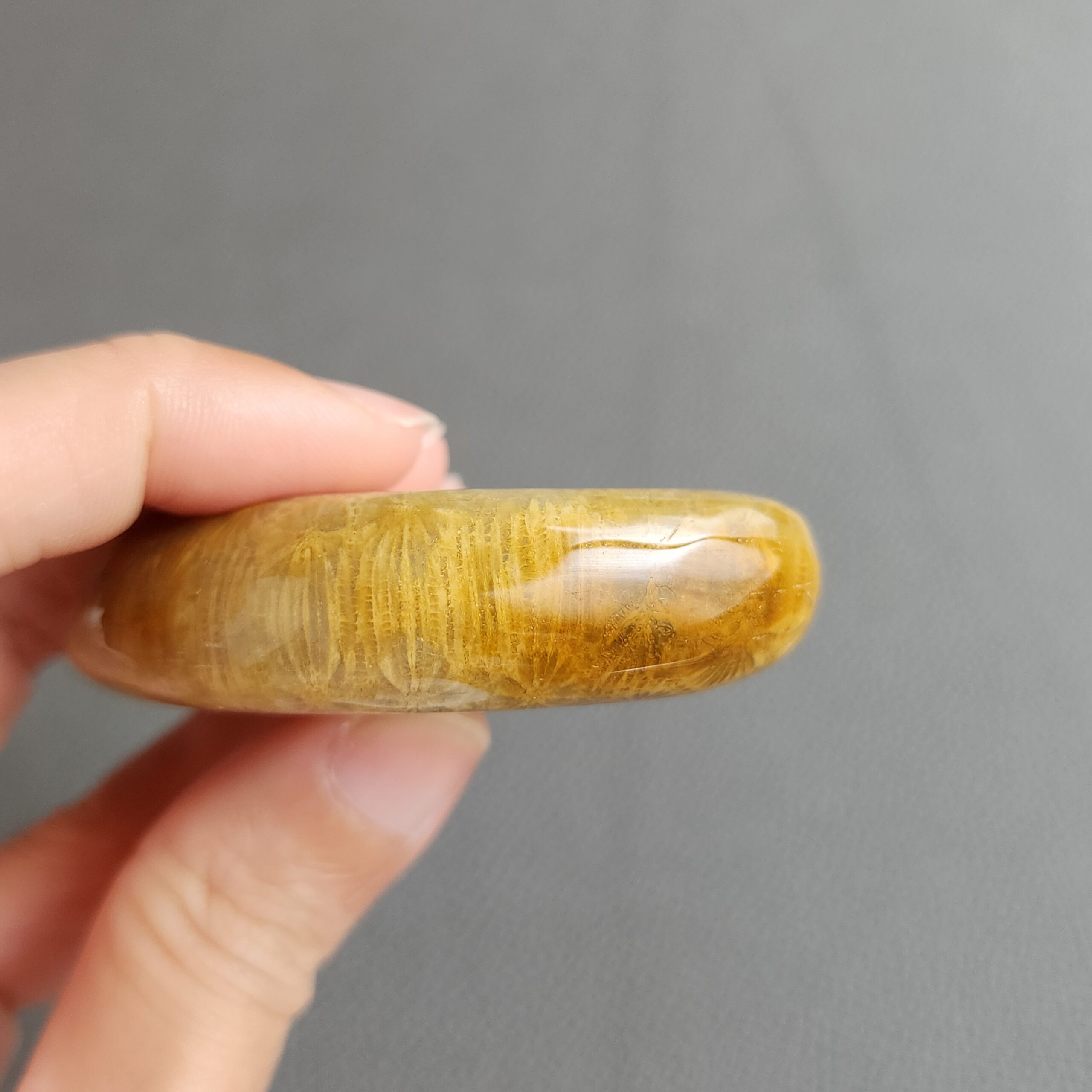 20240412_122019 Fossilized Coral Freeform Piece C1031