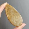 20240412_122417 Fossilized Coral Slab C1032