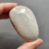 Fossilized Coral Freeform Piece C1069