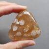 20250107_131145 Fossilized Coral Freeform Piece C1195