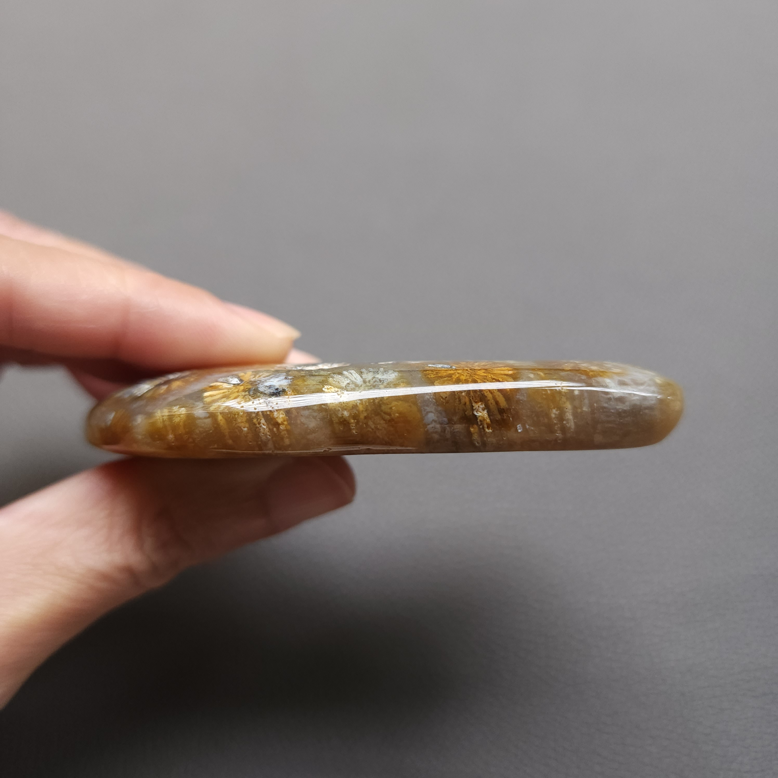 20250108_114121 Fossilized Coral Freeform Piece C1203