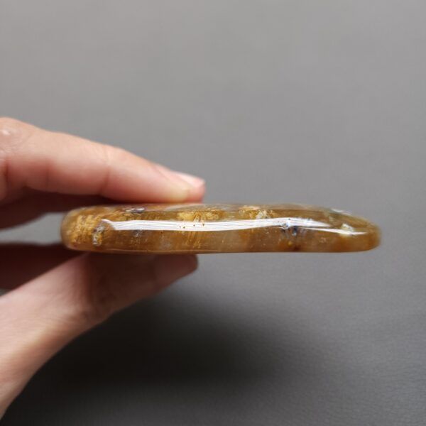 Fossilized Coral Freeform Piece C1203