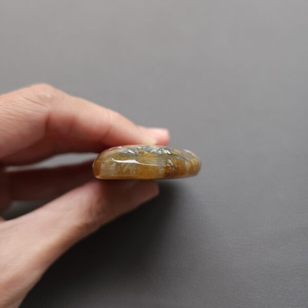 Fossilized Coral Freeform Piece C1203