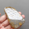 20250108_114209 Fossilized Coral Freeform Piece C1203