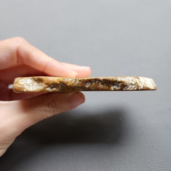 Fossilized Coral Slab C1210