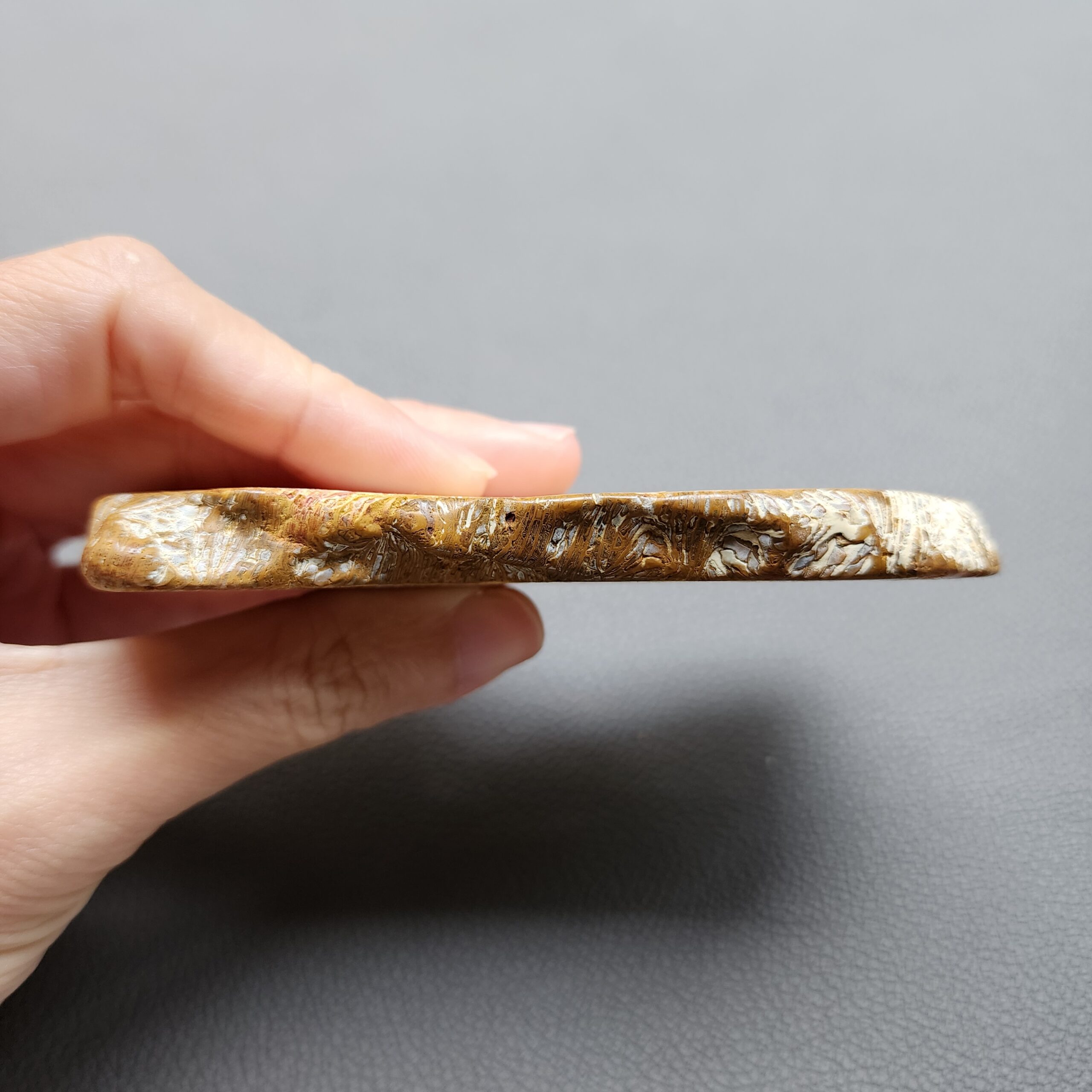 Fossilized Coral Slab C1210
