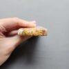 Fossilized Coral Slab C1210