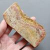 Fossilized Coral Slab C1210