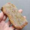 Fossilized Coral Slab C1210