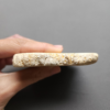 Fossilized Coral Slab C1212
