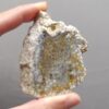 20250108_140141 Fossilized Coral Slab C1206