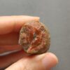 20260423_142151 Zhanguo Red Agate Stone (unpolished) ZR002