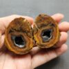 20260423_142415 Zhanguo Red Agate Pair Stone (unpolished) ZR003