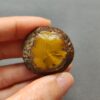 20260423_142948 Zhanguo Red Agate Stone (unpolished) ZR004