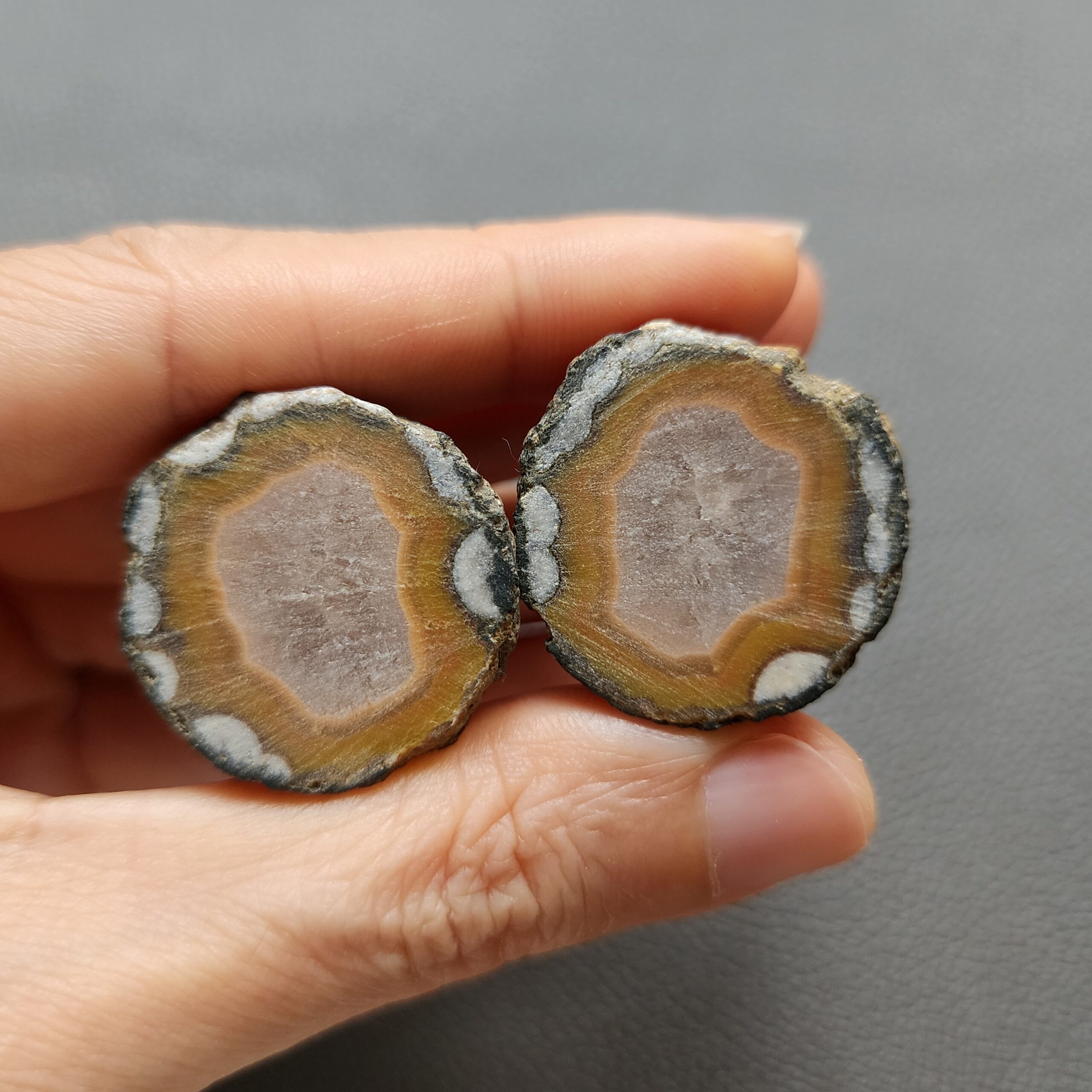 Zhanguo Red Agate Pair Stone (unpolished) ZR008