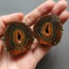 Zhanguo Red Agate Pair Stone (unpolished) ZR011