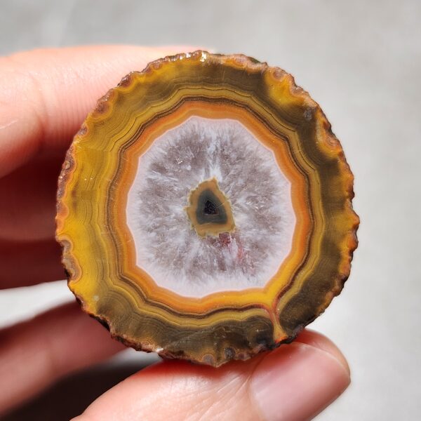 20260425_152253 Zhanguo Red Agate Pair Stone ZR012