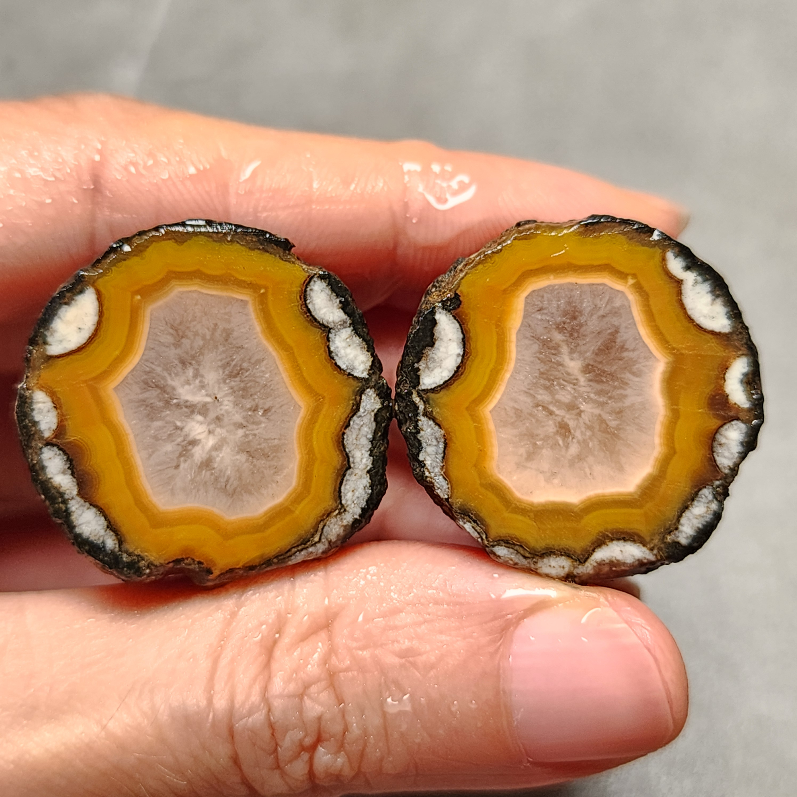 Zhanguo Red Agate Pair Stone (unpolished) ZR008
