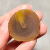Zhanguo Red Agate Pair Stone (unpolished) ZR005