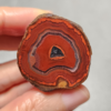 20260425_155755 Zhanguo Red Agate Pair Stone (unpolished) ZR009