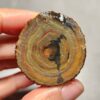 Zhanguo Red Agate Pair Stone (unpolished) ZR013