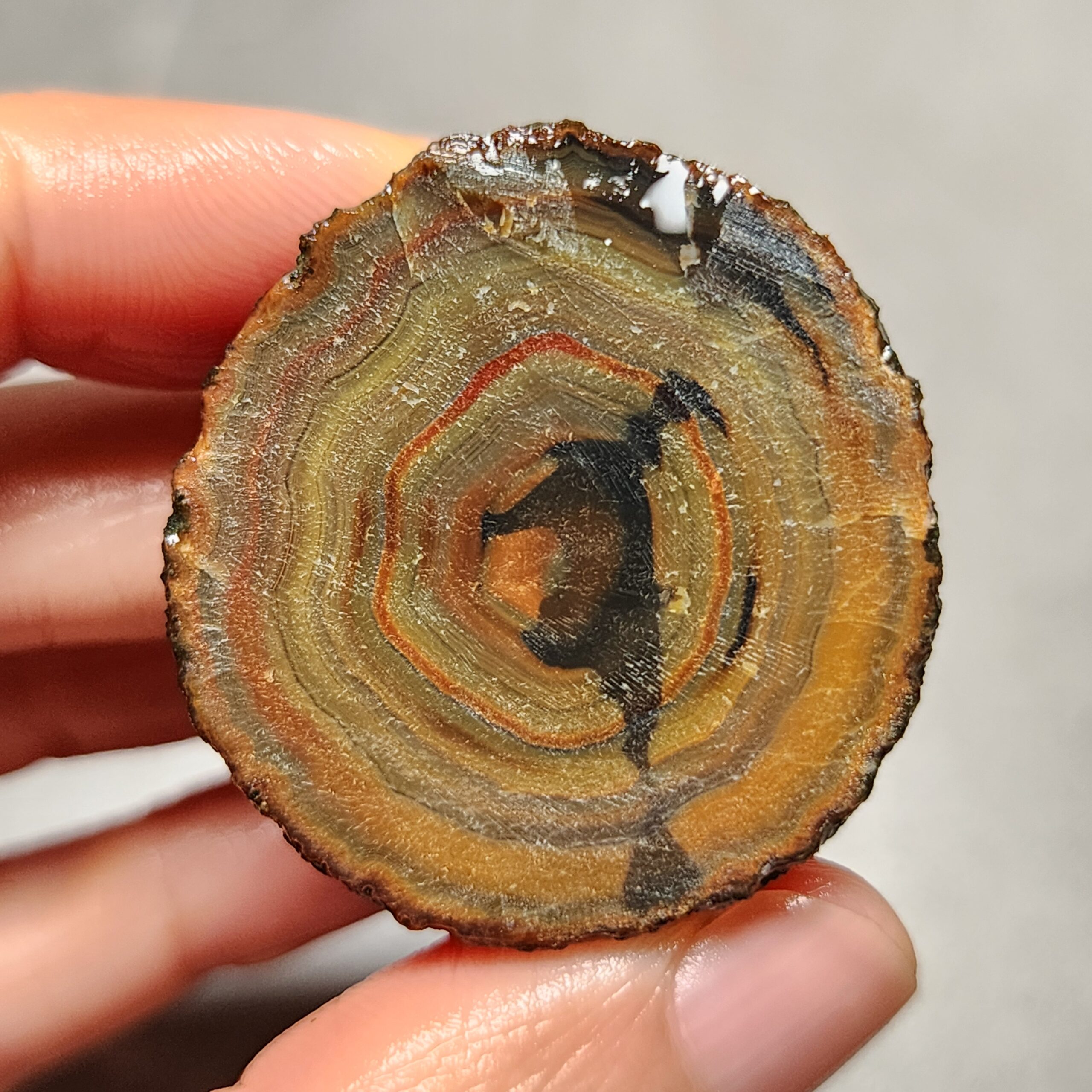 Zhanguo Red Agate Pair Stone (unpolished) ZR013