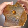 CORA1036 - frame at 0m29s Fossilized Coral Slab C1036