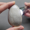 Fossilized Coral Freeform Piece C1069
