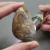 Fossilized Coral Freeform Piece C1072