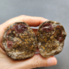 Zhanguo Red Agate Pair Stone (unpolished) ZR015