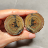 Zhanguo Red Agate Pair Stone (unpolished) ZR013
