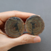 Zhanguo Red Agate Pair Stone (unpolished) ZR013