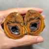 縮圖3 Zhanguo Red Agate Pair Stone (unpolished) ZR003