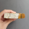 縮圖4 Fossilized Coral Slab C1036