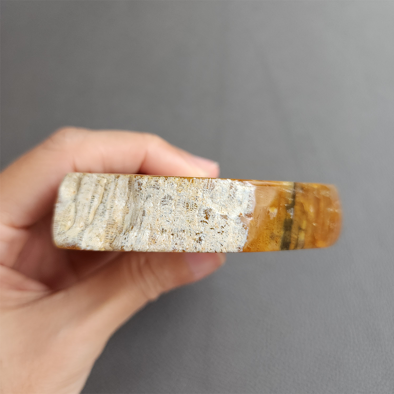 縮圖4 Fossilized Coral Slab C1036