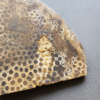 縮圖5 Fossilized Coral Slab C1218 (unpolished)