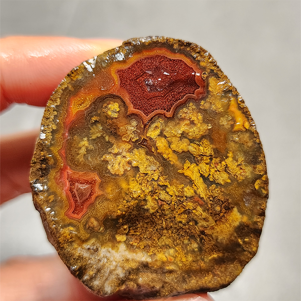 Zhanguo Red Agate Pair Stone (unpolished) ZR015