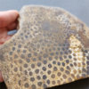 縮圖6 Fossilized Coral Slab C1218 (unpolished)