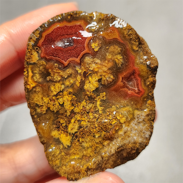 Zhanguo Red Agate Pair Stone (unpolished) ZR015