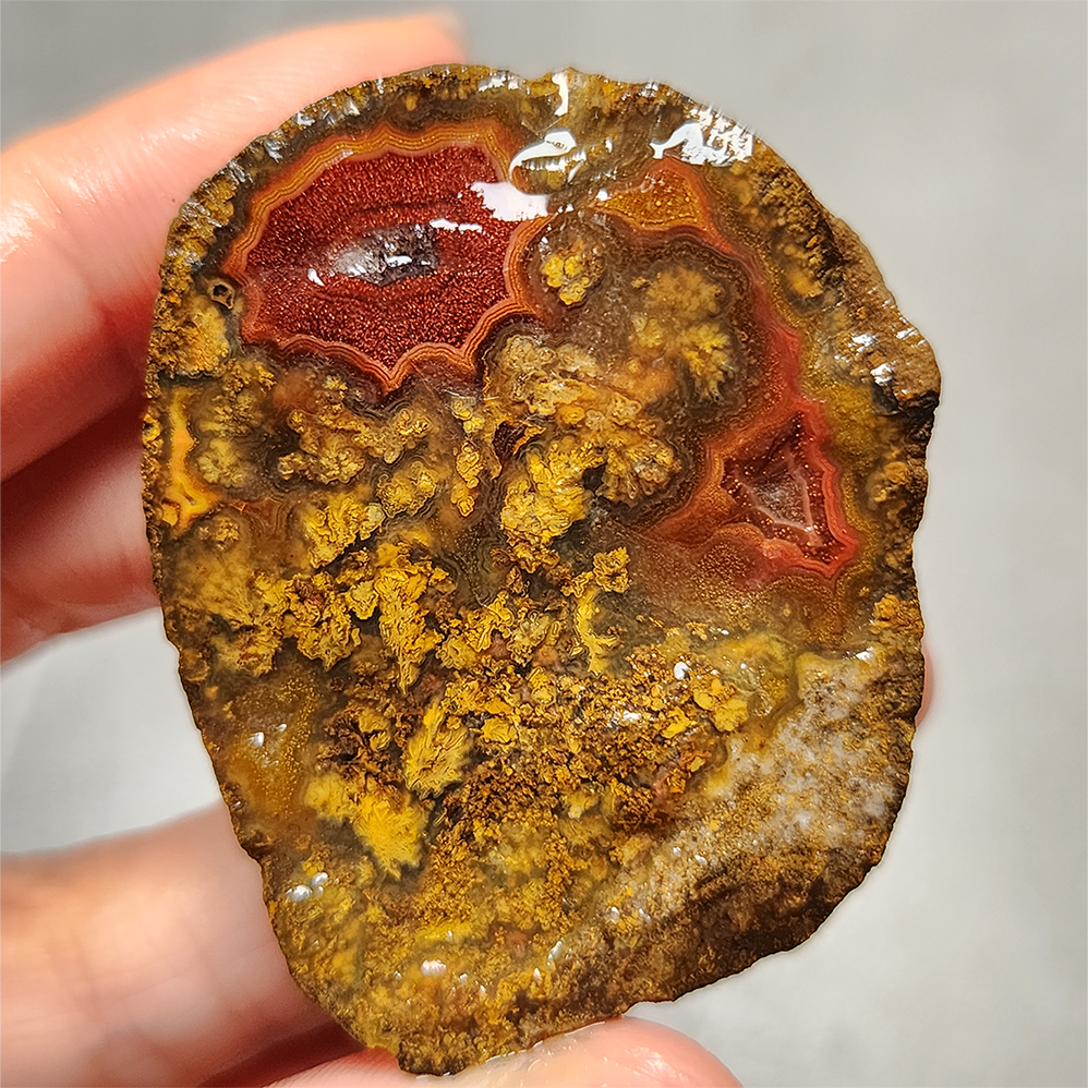 Zhanguo Red Agate Pair Stone (unpolished) ZR015