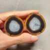 Zhanguo Red Agate Pair Stone (unpolished) ZR020