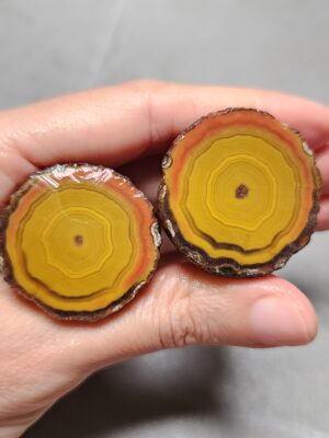 20260425_154618 Zhanguo Red Agate Pair Stone (unpolished) ZR021