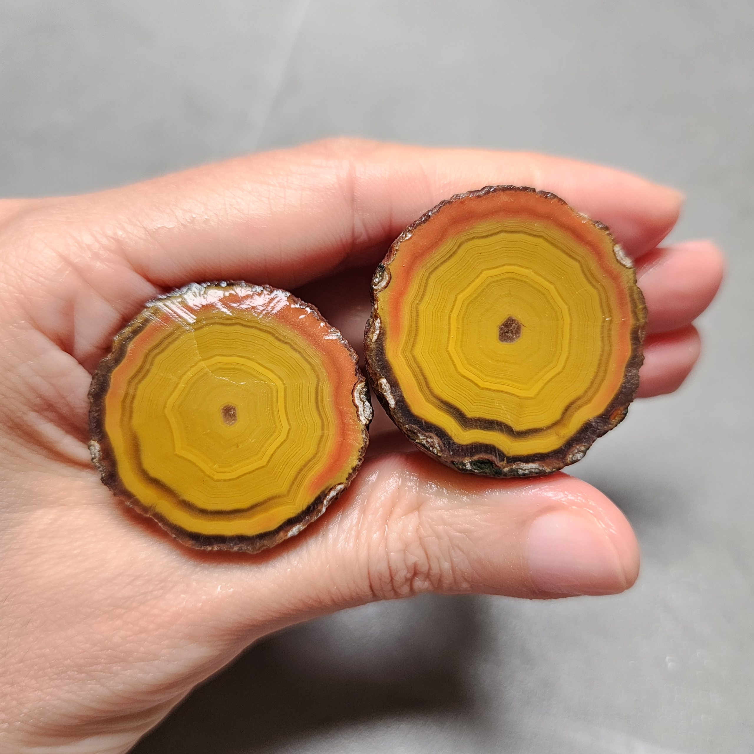 20260425_154618 Zhanguo Red Agate Pair Stone (unpolished) ZR021