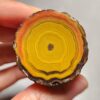 20260425_154648 Zhanguo Red Agate Pair Stone (unpolished) ZR021