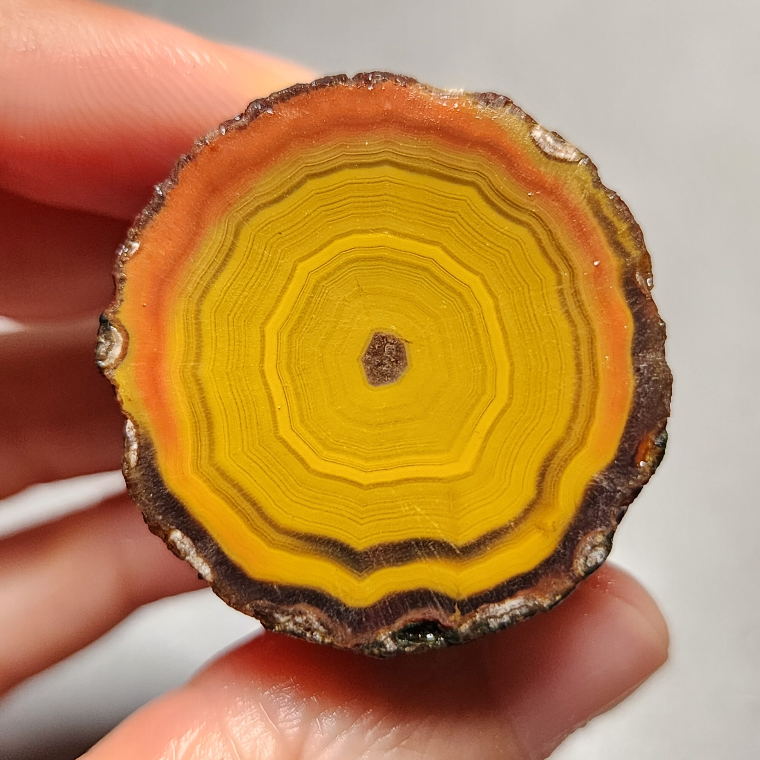 20260425_154648 Zhanguo Red Agate Pair Stone (unpolished) ZR021